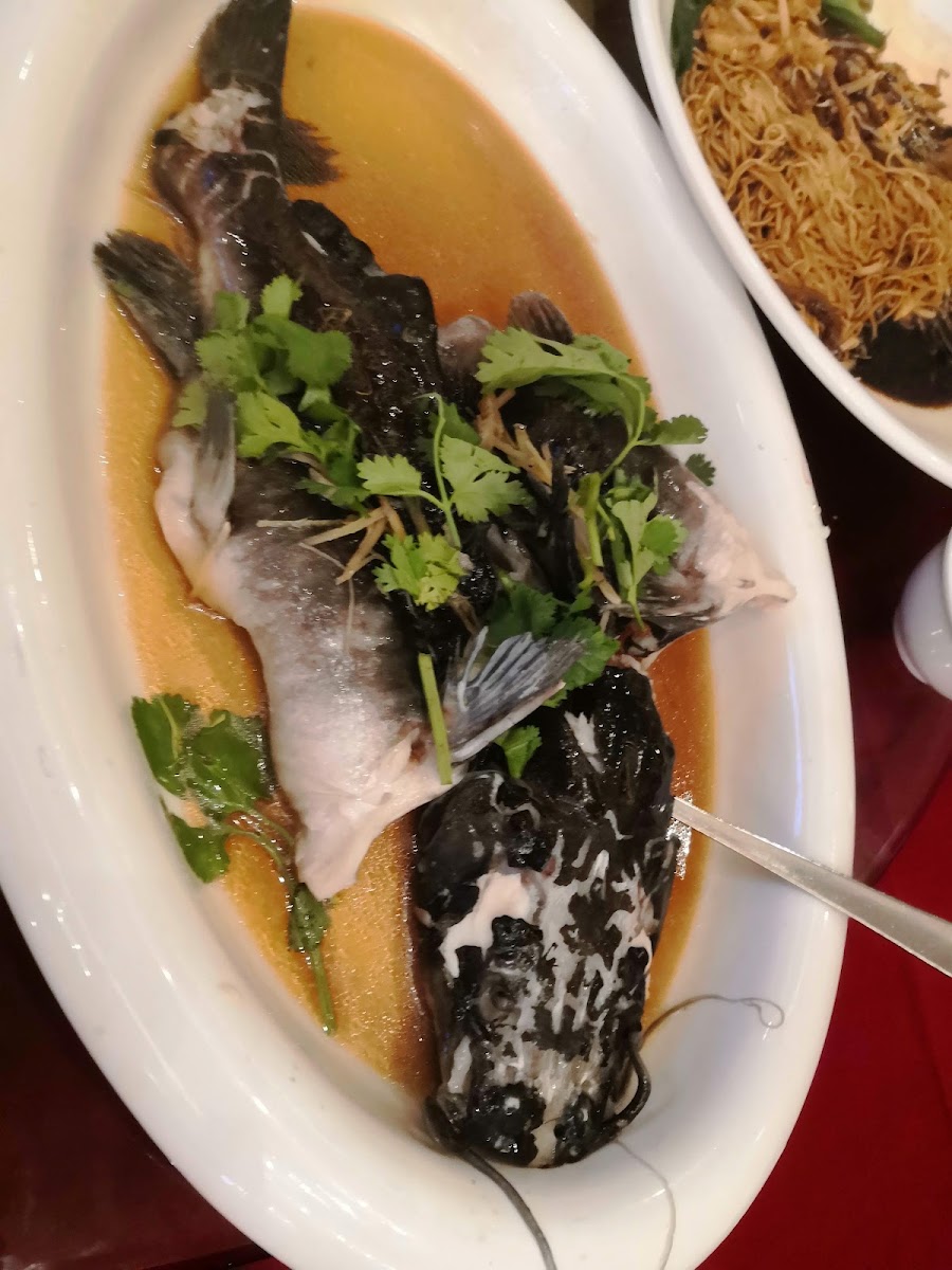 Hee Lai Ton Restaurant | Puchong photo 5
